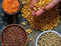 वर्षभराची डाळ साठवून ठेवताना लक्षात ठेवा २ सोप्या टिप्स- डाळींमध्ये कधीच किडे होणार नाहीत - Marathi News | how to store grains or dal for long, 2 kitchen tips for the storage of dal | Latest sakhi Photos at Lokmat.com