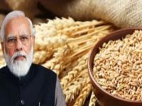 Wheet Price: भारताच्या एका निर्णयानं गव्हाचं संकट वाढलं; जागतिक बाजारपेठेत मोठी खळबळ - Marathi News | Wheet Price: Global wheat prices jump after India export ban and Ukraine war: Food and Agriculture Organisation | Latest international Photos at Lokmat.com