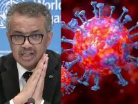 Coronavirus : कोरोना संसर्गाबाबत WHO कडून 'मोठी चूक', वाद पेटल्यावर चूक सुधारली! - Marathi News | Coronavirus : WHO backtracks asymptomatic transmission very rare | Latest health Photos at Lokmat.com