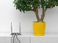 वायफाय राउटरच्या बाजूला ठेवल्यात 'या' गोष्टी? आताच बाजूला करा अन्यथा... - Marathi News | Are you keeping these things next to your WiFi router? Put them aside now, otherwise... | Latest tech Photos at Lokmat.com