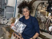 जबरदस्त कामगीरी! ६२ तास स्पेसवॉक, ९०० तास संशोधन; सुनीता विल्यम्स यांनी अवकाशात अडकूनही केले विक्रम - Marathi News | 62 hours of spacewalk, 900 hours of research Sunita Williams sets records even while stuck in space | Latest international Photos at Lokmat.com