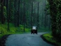 Travel : हिवाळ्यात फिरायला जायचा विचार करताय? दक्षिण भारतातील 'ही' ठिकाणं ठरतील बेस्ट - Marathi News | Travel: Thinking of going for a walk in winter? These places in South India will be the best | Latest travel Photos at Lokmat.com Travel : हिवाळ्यात फिरायला जायचा विचार करताय? दक्षिण भारतातील 'ही' ठिकाणं ठरतील बेस्ट - Marathi News | Travel: Thinking of going for a walk in winter? These places in South India will be the best | Latest travel Photos at Lokmat.com