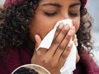 हिवाळ्यात आहारात हवेतच असे ५ फूड - कॉम्बिनेशन! कडाक्याच्या थंडीतही राहाल हेल्दी, ठणठणीत... - Marathi News | Ayurvedic winter food combination winter warming food combos Ayurvedic superfoods for winter foods that keep body warm naturally | Latest sakhi Photos at Lokmat.com