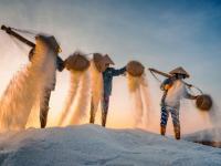 कामाप्रति चिकाटी काय असते हे बघा या फोटोंमधून, मनाला मिळेल एक वेगळा आनंद! - Marathi News | Beautiful work photography contest Agora | Latest social-viral Photos at Lokmat.com