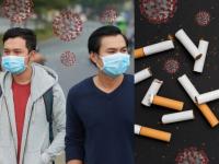 CoronaVirus News : धुम्रपानामुळे कोरोना विषाणूंपासून बचाव होतो? जाणून घ्या फॅक्ट्स - Marathi News | CoronaVirus News Marathi : Corona virus half of infected smokers died with covid 19 says study myb | Latest health Photos at Lokmat.com