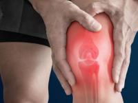 कॅल्शियम कमी झालंय? ८ पदार्थ खा, ठणठणीत राहील तब्येत; कमी खर्चात मिळेल पोषण - Marathi News | Calcium Rich Foods That Improve Your Bones : 8 calcium rich foods for your bones | Latest sakhi Photos at Lokmat.com