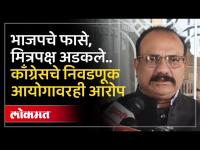 नगर परिषदांमध्ये भाजपचा बोलबाला, काँग्रेसने काय आरोप केले? Congress on BJP over Election Results