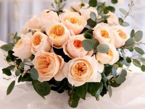 Rose Day: Do you know about Juliet Rose that costs in crores? Here's all  about it