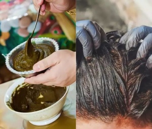 How to get black hair naturally : केस फार पांढरे झालेत? मेहेंदी लावताना  फक्त १ गोष्ट मिसळा अन् मिळवा दाट, काळेभोर केस - Marathi News | How to get black  hair naturally :
