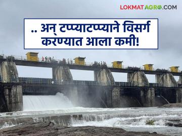 पावसाचा जोर कमी झाल्याने 'या' धरणातून मुठा नदीत करण्यात येणारा विसर्ग टप्प्याटप्प्याने करण्यात आला कमी - Marathi News | As the intensity of the rains has decreased, the discharge from 'Ya' dam into the Mutha river has been reduced in stages. | Latest News at Lokmat.com पावसाचा जोर कमी झाल्याने 'या' धरणातून मुठा नदीत करण्यात येणारा विसर्ग टप्प्याटप्प्याने करण्यात आला कमी - Marathi News | As the intensity of the rains has decreased, the discharge from 'Ya' dam into the Mutha river has been reduced in stages. | Latest News at Lokmat.com