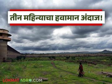 Weather : पाऊस, थंडी अन् तापमान! २०२५ चं हवामान कसं होतं? २०२६ चे पहिले ३ महिने कसे असणार? - Marathi News | Weather: Rain, cold and temperature! What was the weather like in 2025? What will the first 3 months of 2026 be like? | Latest agriculture News at Lokmat.com