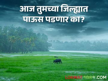weather alert: राज्यात १६ जिल्ह्यांना पाऊस, उष्णतेच्या लाटेचा इशारा, तुमच्या जिल्ह्यात काय स्थिती? - Marathi News | weather alert: rain alert in ten districts, heat wave in six districts, weather department forecast | Latest News at Lokmat.com