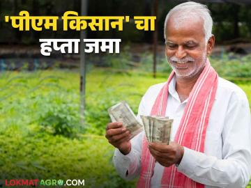 PM Kisan : खूशखबर! पीएम किसानचा १८वा हप्ता शेतकऱ्यांच्या खात्यावर जमा - Marathi News | PM Kisan 18th installment of PM Kisan deposited in farmers account | Latest agriculture News at Lokmat.com