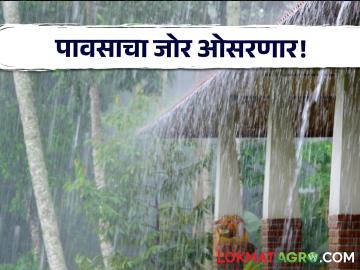 Maharashtra Weather Updates : दोन दिवसांत राज्यातील पावसाचा जोर होणार कमी! काय आहे ५ दिवसांचा अंदाज? - Marathi News | Maharashtra Weather Updates : The intensity of rain in the state will decrease in two days! What is the 5 day forecast? | Latest agriculture News at Lokmat.com
