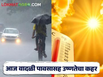 Weather Alert: आज वादळी पावसासह उष्णतेचा कहर, कोणत्या शहरात काय दिलाय इशारा? - Marathi News | Weather Alert: Stormy rain with heat today, what warning has been given in which city? | Latest News at Lokmat.com