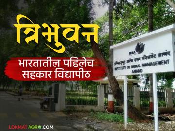Tribhuvan Sahkari University : देशात पहिल्यांदाच स्थापन होतंय सहकारी विद्यापीठ; सहकार शिक्षण क्षेत्रातील क्रांतीकारी पाऊल! - Marathi News | Tribhuvan Sahkari University First Cooperative University is being established in the country | Latest agriculture News at Lokmat.com