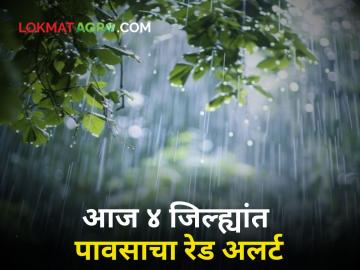 Today's Maharashtra Rain : राज्यात आज कुठे बरसणार पाऊस? 'या' ४ जिल्ह्यांत हवामान विभागाचा रेड अलर्ट! - Marathi News | Todays Maharashtra Rain Where will rain in state Meteorological department's red alert in these 4 districts | Latest agriculture News at Lokmat.com