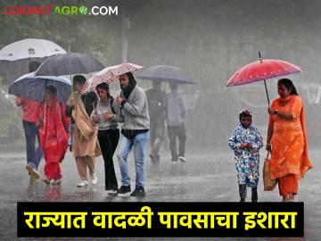 Weather Alert: हवामान विभागाने राज्यात या भागात वर्तवली पावसाची शक्यता, या भागांना उष्णतेच्या लाटांचा इशारा - Marathi News | Weather Alert: Meteorological department has predicted rain in these parts of the state, warning of heat waves in these parts | Latest News at Lokmat.com