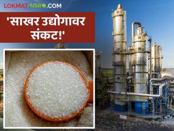 साठा, उत्पादन खर्चामुळे साखर उद्योगावर संकट; पावले उचलण्याचे केंद्र सरकारला आवाहन - Marathi News | Crisis on sugar industry due to stocks, cost of production; Appeal to central government to take steps | Latest agriculture News at Lokmat.com साठा, उत्पादन खर्चामुळे साखर उद्योगावर संकट; पावले उचलण्याचे केंद्र सरकारला आवाहन - Marathi News | Crisis on sugar industry due to stocks, cost of production; Appeal to central government to take steps | Latest agriculture News at Lokmat.com
