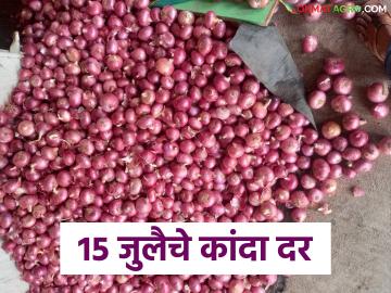 Kanda Market : लासलगाव कांदा मार्केटमध्ये दरात चढ- उतार सुरूच, वाचा काय मिळतोय दर?  - Marathi News | Latest News Kanda Market Lasalgaon onion market prices up down see all market kanda bajarbhav | Latest News at Lokmat.com