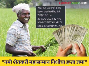 PM Kisan Yojana : 'नमो शेतकरी महासन्मान निधी'चे २ हजार रूपये शेतकऱ्यांच्या खात्यात जमा - Marathi News | PM Kisan Yojana: Deposit of 2 thousand rupees of 'Namo Shetkari Mahasanman Nidhi' in farmers' accounts | Latest agriculture News at Lokmat.com PM Kisan Yojana : 'नमो शेतकरी महासन्मान निधी'चे २ हजार रूपये शेतकऱ्यांच्या खात्यात जमा - Marathi News | PM Kisan Yojana: Deposit of 2 thousand rupees of 'Namo Shetkari Mahasanman Nidhi' in farmers' accounts | Latest agriculture News at Lokmat.com