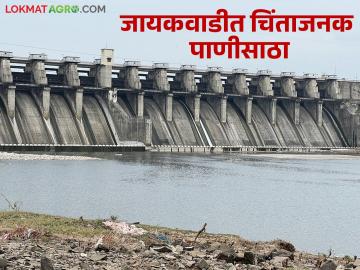 जायकवाडी धरणसाठा चिंताजनक, पहा किती उरलंय पाणी - Marathi News | Jayakwadi dam storage is alarming, see how much water is left | Latest News at Lokmat.com