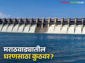 Marathwada Dam Water: मराठवाड्यातील धरणांमध्ये राहिलंय एवढं पाणी, जलसंपदा विभगाची माहिती - Marathi News | Marathwada Dam Water: How much water is left in the dams in Marathwada, information from the Water Resources Department | Latest News at Lokmat.com