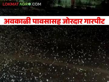 अवकाळीचा पुन्हा दणका; जालना, जळगावसह या भागात जोरदार गारपीट - Marathi News | The resurgence of the season; Heavy hail in these areas including Jalna, Jalgaon | Latest News at Lokmat.com