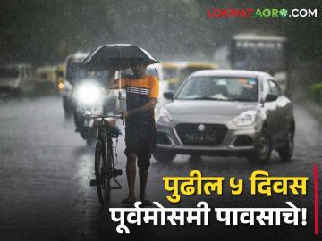 Maharashtra weather Update: राज्यात पुण्यासह १५ जिल्ह्यांना मुसळधार पावसाचा यलो अलर्ट - Marathi News | Maharashtra weather update: Yellow alert of heavy rains for 15 districts including Pune in the state, Met department forecast | Latest News at Lokmat.com