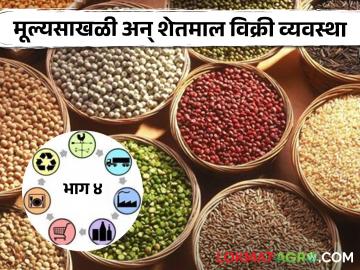 शेतकरी उत्पादक कंपन्या व सहकारी संस्थामार्फत कृषी मूल्यसाखळीद्वारे शेतमालाचे विक्री व्यवस्थापन | Part 4 - Marathi News | Sales management of agricultural products through the agricultural value chain through farmer producer companies and cooperatives | Latest agriculture News at Lokmat.com