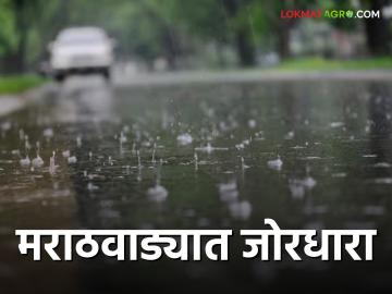 Marathwada Rain Update: मराठवाड्यात पावसाचा यलो अलर्ट, वादळी वाऱ्यासह विजांचा कडकडाटही - Marathi News | Marathwada Rain Update: Yellow alert for rain in Marathwada, lightning with gale force winds | Latest News at Lokmat.com