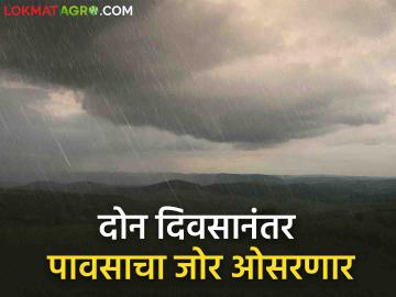 Maharashtra Rain Updates : राज्यात आज-उद्या मुसळधार! दोन दिवसानंतर पावसाचा जोर होणार कमी - Marathi News | Maharashtra Rain Updates Heavy rain today and tomorrow in the state After two days, the intensity of rain will decrease | Latest agriculture News at Lokmat.com Maharashtra Rain Updates : राज्यात आज-उद्या मुसळधार! दोन दिवसानंतर पावसाचा जोर होणार कमी - Marathi News | Maharashtra Rain Updates Heavy rain today and tomorrow in the state After two days, the intensity of rain will decrease | Latest agriculture News at Lokmat.com