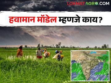 हवामान मॉडेल म्हणजे काय? तुमच्या भागातल्या हवमानाचा अंदाज यावरून काढला जातो... - Marathi News | What is a weather model? The weather forecast for your area is derived from… | Latest News at Lokmat.com
