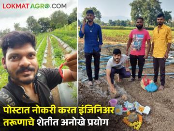पुण्यातील उच्चशिक्षित इंजिनिअर तरूणाचे पोस्टात नोकरी करत शेतीत अनोखे प्रयोग - Marathi News | Highly educated engineer youth, job in post office and unique experiments in agriculture | Latest agriculture News at Lokmat.com