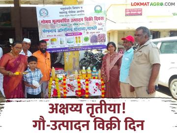 अक्षय्य तृतीयेच्या शुभमुहूर्तावर गो-उत्पादने विक्री दिन साजरा; बसस्थानकावर होतेय थेट विक्री - Marathi News | Cow Products Sale Day celebrated on the auspicious occasion of Akshaya Tritiya; | Latest agriculture News at Lokmat.com अक्षय्य तृतीयेच्या शुभमुहूर्तावर गो-उत्पादने विक्री दिन साजरा; बसस्थानकावर होतेय थेट विक्री - Marathi News | Cow Products Sale Day celebrated on the auspicious occasion of Akshaya Tritiya; | Latest agriculture News at Lokmat.com