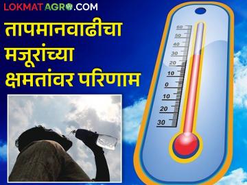 climate change: तापमानवाढीचा मजूरांच्या शरिरावर होतोय परिणाम! - Marathi News | Climate change: The effect of warming on the body of laborers! | Latest News at Lokmat.com