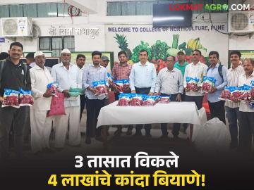 कांदा बियाणे विक्रीतून विद्यार्थ्यांनी कमावले चार लाख; तीन तासात १६२ किलो बियाणे विक्री - Marathi News | Students earn four lakhs by selling onion seeds; 162 kg of seeds sold in three hours | Latest News at Lokmat.com कांदा बियाणे विक्रीतून विद्यार्थ्यांनी कमावले चार लाख; तीन तासात १६२ किलो बियाणे विक्री - Marathi News | Students earn four lakhs by selling onion seeds; 162 kg of seeds sold in three hours | Latest News at Lokmat.com