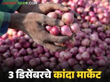 Kanda Market : नाशिक जिल्ह्यात उन्हाळ कांद्यासह लाल कांद्याची आवक वाढली, काय दर मिळतोय?  - Marathi News | Latest News Kanda market Average price of summer onion in Lasalgaon market is Rs 1220 | Latest News at Lokmat.com