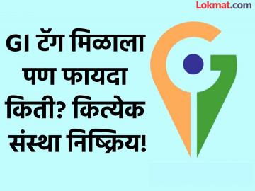 GI Taging : ज्या संस्थांनी GI मिळवून दिले त्या संस्थाच निष्क्रिय! शेतकऱ्यांना फायदा शून्य; काय आहे पर्याय? - Marathi News | GI Tagging agriculture commodity Organizations that have acquired GI are inactive! Zero benefit to farmers; What is the alternative? | Latest agriculture News at Lokmat.com