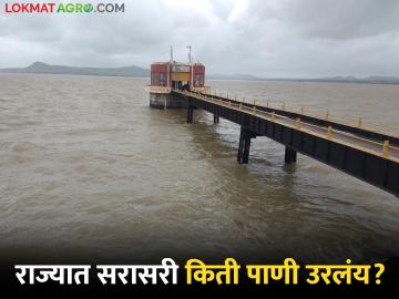 राज्यातील धरणांमध्ये सरासरी किती पाणी उरलंय? जाणून घ्या विभागनिहाय उपलब्धता - Marathi News | How much water is left in the dams in the state on average? Know department wise availability | Latest News at Lokmat.com