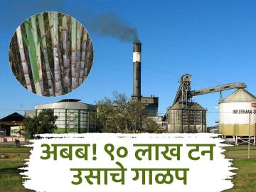 Sugarcane : राज्यात १८ दिवसांत ९० लाख टनाचे गाळप पण साखर उतारा कमी! वाचा सविस्तर - Marathi News | Sugarcane In 18 days in the state 90 lakh tonnes sugarcane crussing but less sugar recovery | Latest agriculture News at Lokmat.com Sugarcane : राज्यात १८ दिवसांत ९० लाख टनाचे गाळप पण साखर उतारा कमी! वाचा सविस्तर - Marathi News | Sugarcane In 18 days in the state 90 lakh tonnes sugarcane crussing but less sugar recovery | Latest agriculture News at Lokmat.com