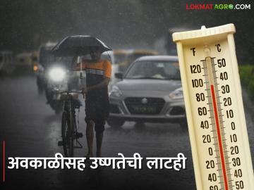 आजही विजांच्या कडकडाटासह पावसाची शक्यता, राज्यातील या भागात उष्णतेची लाट - Marathi News | Chance of rain with lightning today, heat wave in this part of the state | Latest News at Lokmat.com