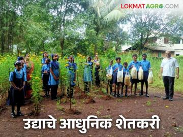 शाळेतील शेतकऱ्यांची मुलं म्हणताहेत 'आमची भाजी आम्ही पिकवू' - Marathi News | Farmers' children in school are saying 'we will grow our own vegetables' | Latest News at Lokmat.com