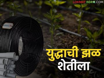 युद्धाची झळ शेतीला; पीव्हीसी पाइप, मल्चिंग, ठिबक साहित्यात ४० ते ५० टक्क्यांपर्यंत दरवाढ - Marathi News | War hits agriculture; Prices of PVC pipes, mulching, drip irrigation materials increase by 40 to 50 percent | Latest market-yard News at Lokmat.com