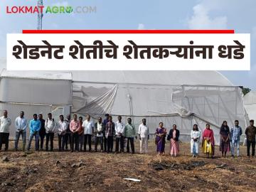 Shednet Farming : अधिक उत्पादनासाठी शेडनेट हाऊस तंत्रज्ञानाचा वापर करावा; पवार यांचे आवाहन - Marathi News | Shednet Farming : Use shednet house technology for more production; Pawar's appeal | Latest News at Lokmat.com