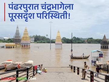 पंढरपुरात चंद्रभागेला पूरसदृश परिस्थिती; दगडी पूल पाण्याखाली तर नदीपात्रातील मंदिरांना पाण्याने दिला वेढा - Marathi News | Flood-like situation at Chandrabhaga in Pandharpur; Stone bridge under water, temples in riverbed surrounded by water | Latest News at Lokmat.com