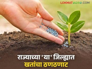 कृषी विभागाचा स्टॉक केवळ कागदावर; शेतकऱ्यांना युरिया व डीएपी टंचाईचा करावा लागतोय सामना - Marathi News | Agriculture Department's stock is only on paper; Farmers have to face shortage of urea and DAP | Latest News at Lokmat.com कृषी विभागाचा स्टॉक केवळ कागदावर; शेतकऱ्यांना युरिया व डीएपी टंचाईचा करावा लागतोय सामना - Marathi News | Agriculture Department's stock is only on paper; Farmers have to face shortage of urea and DAP | Latest News at Lokmat.com