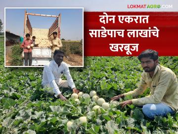 आधुनिक शेती तंत्राच्या मदतीने साधला विकास; गजाननरावांनी केला पूर्ण पारंपरिक शेतीला मॉडर्न करण्याचा ध्यास - Marathi News | Development was achieved with the help of modern farming techniques; Gajanan Rao was determined to modernize traditional agriculture completely | Latest News at Lokmat.com