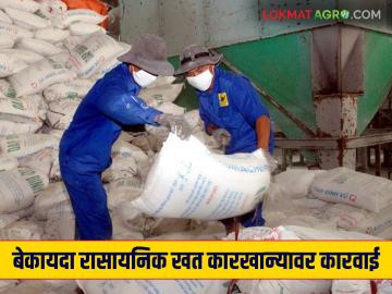 बेकायदा रासायनिक खत कारखान्यावर कारवाई; २ लाख ८ हजारांची २४८ पोती गोदामातच सील - Marathi News | Action taken against illegal chemical fertilizer factory; 248 bags worth 2 lakh 8 thousand sealed in the warehouse | Latest News at Lokmat.com