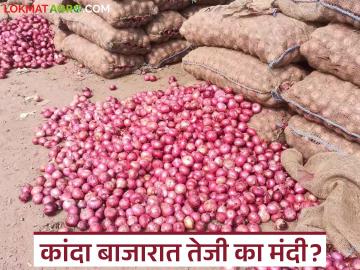 २०२६ नववर्षाच्या सुरुवातीला कांदा बाजाराची काय आहे स्थिती? वाचा आजचे कांदा बाजारभाव - Marathi News | What is the status of the onion market at the beginning of the new year 2026? Read today's onion market price | Latest News at Lokmat.com